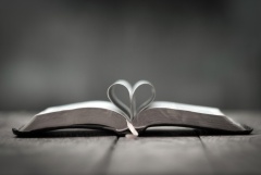 Zwei Seiten einer aufgeklappten Bibel bilden ein Herz