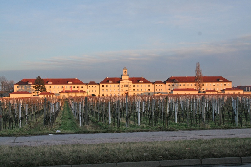 Die Gedenkstätte in Neustadt