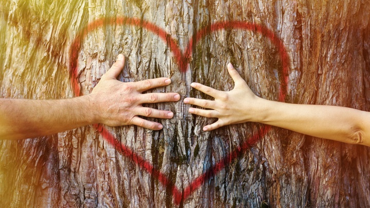 Ein Paar reicht sich vor einem Baum, auf den ein rotes Herz gesprüht ist, die Hände.