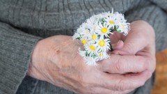 Eine ältere Frau hält Gänseblümchen in den Händen.
