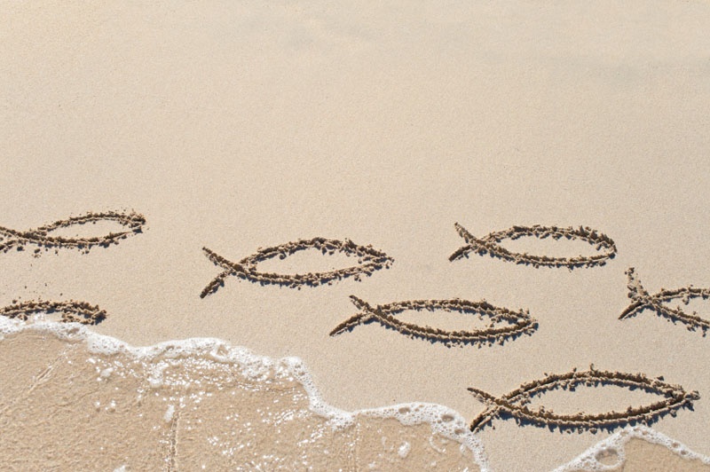 Ichthysse im Sand