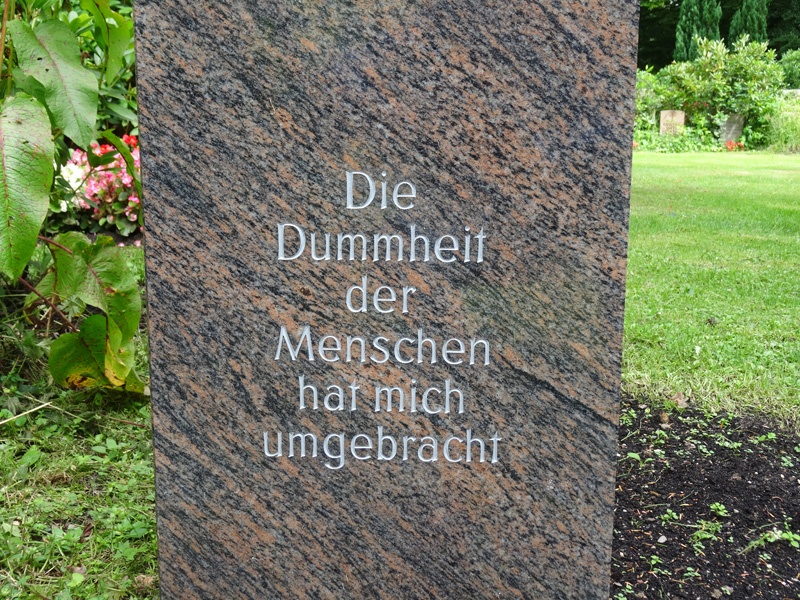 Dummheit tut weh