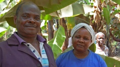 Manasseh und Sofie Wachira von der Kooperative Mitooini zwischen ihren Bananenstauden am Mount Kenya.