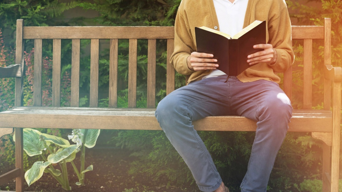 Eine junge Person auf einer Gartenbank liest ein Buch.