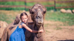 Kleines Mädchen und Kamel