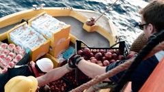 Notfallversorgung der italienischen Seefahrtsbeamten, die Lebensmittel an ein Besatzungsmitglied an Bord des Schiffes "Aquarius" überreichen. 