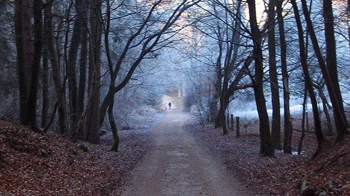 Foto zeigt Weg durch einen winterlichen Wald, an dessen Ende unscharf die Silhouette eines Menschen auszumachen ist.