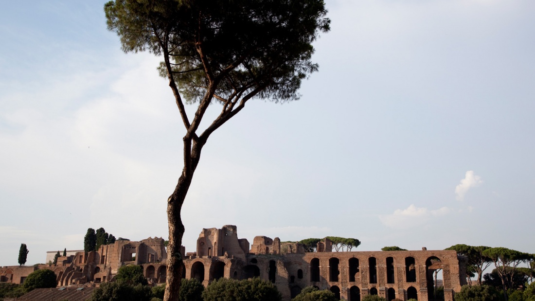 Circus Maximus in Rom