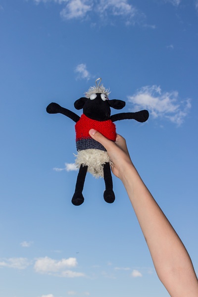 Eine Hand hält Shaun, das Schaf.
