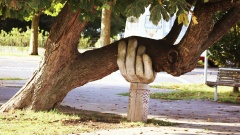 Eine Hand stützt einen Baum