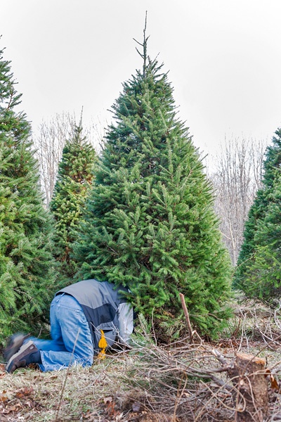 Ein Mann kniet auf dem Waldboden mit dem Kopf unter einer Tanne. 