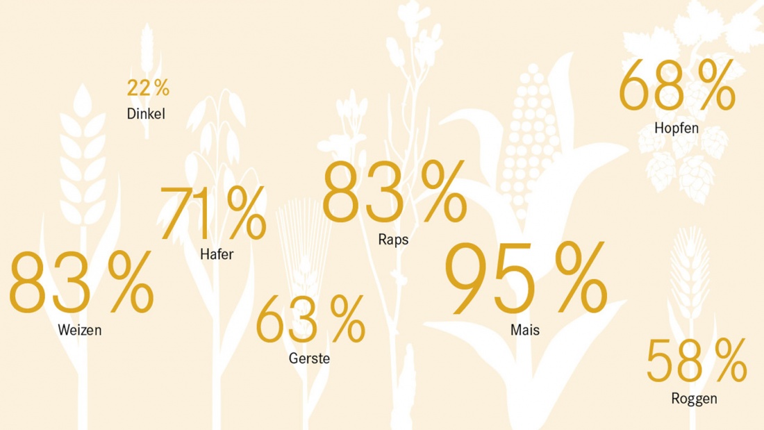 Getreidesorten-Umfrage von chrismon