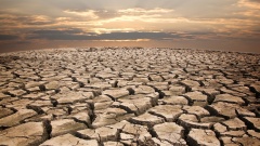 Zu den Auswirkungen des Raubbaus unserer Erde gehörten Dürreperioden.
