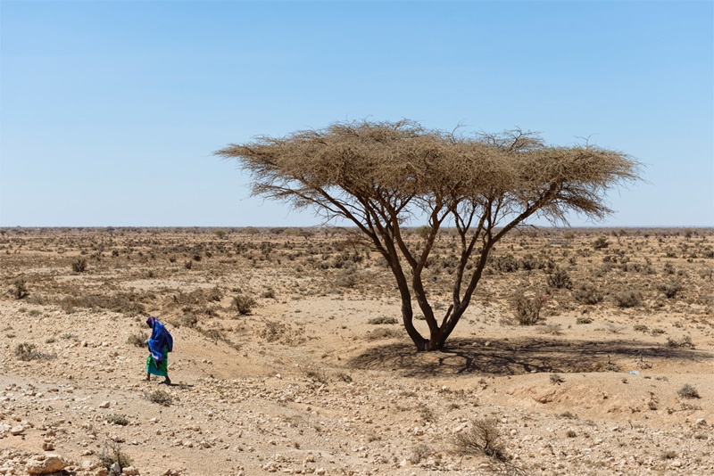 Frau in trockener Steppe vor Baum